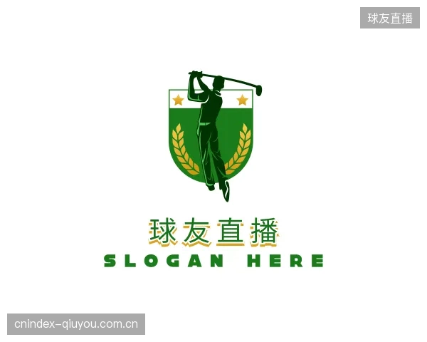 发现球友直播公司